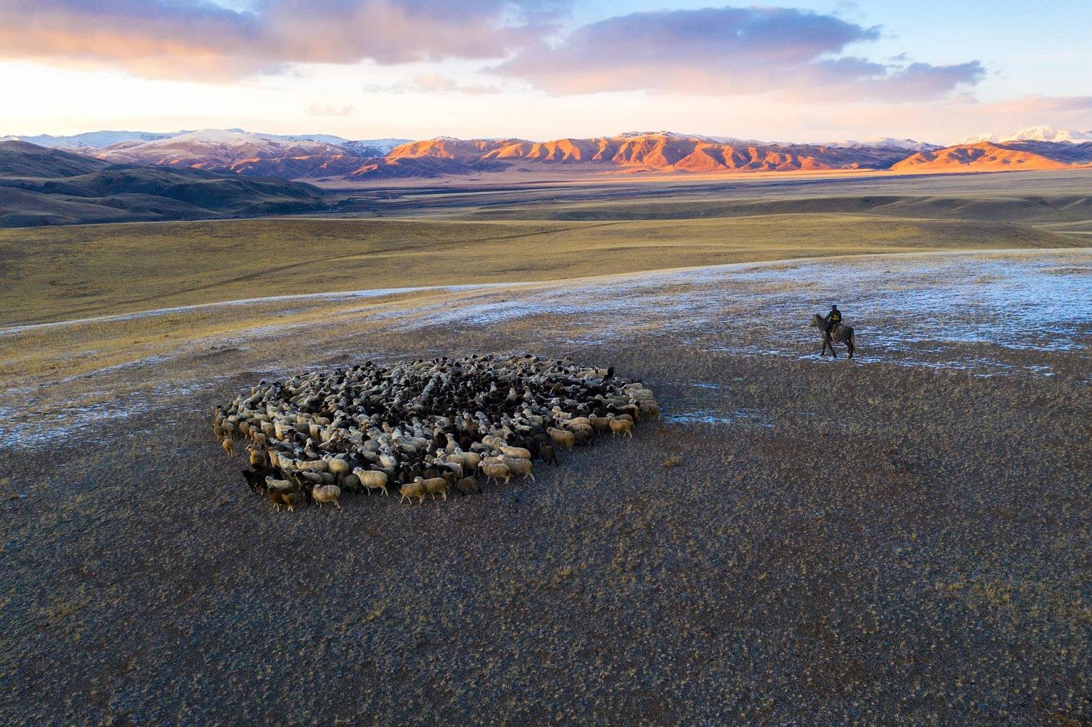 ���������