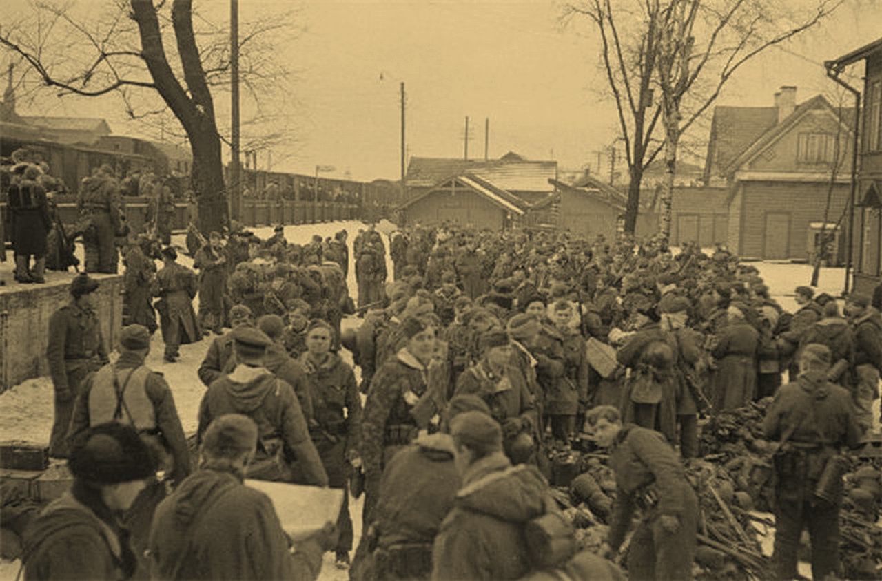 ���������