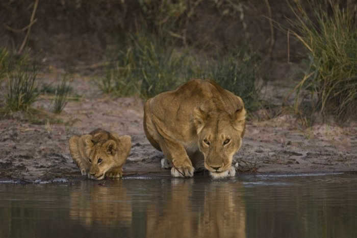 ���������