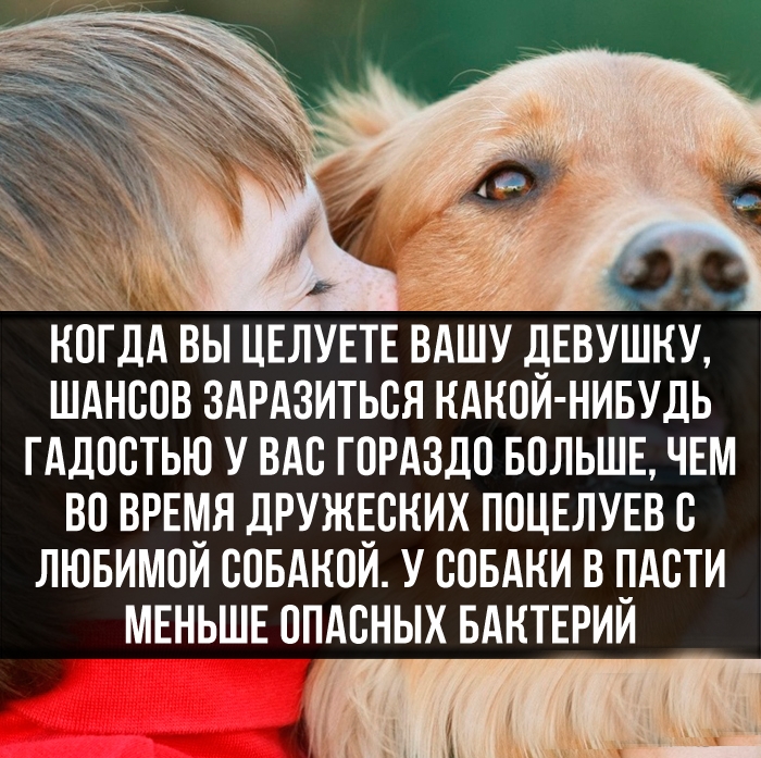 публикация