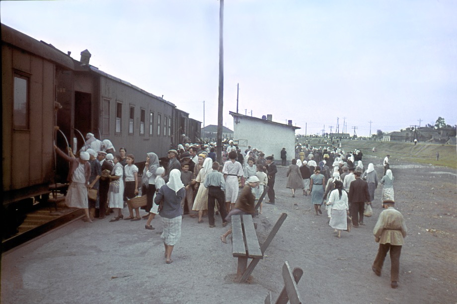 ���������