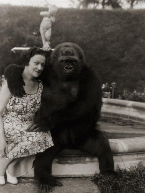 ���������