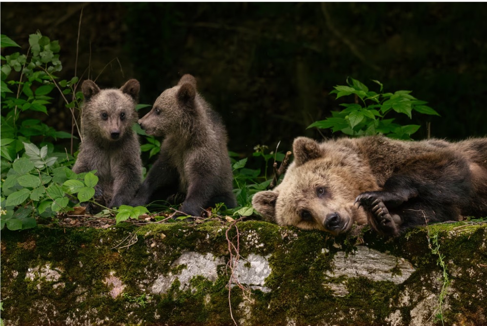 ���������