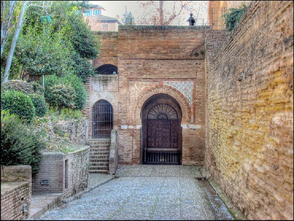 ���������