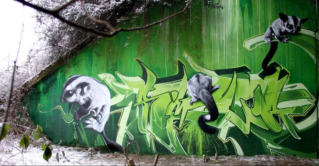 ���������