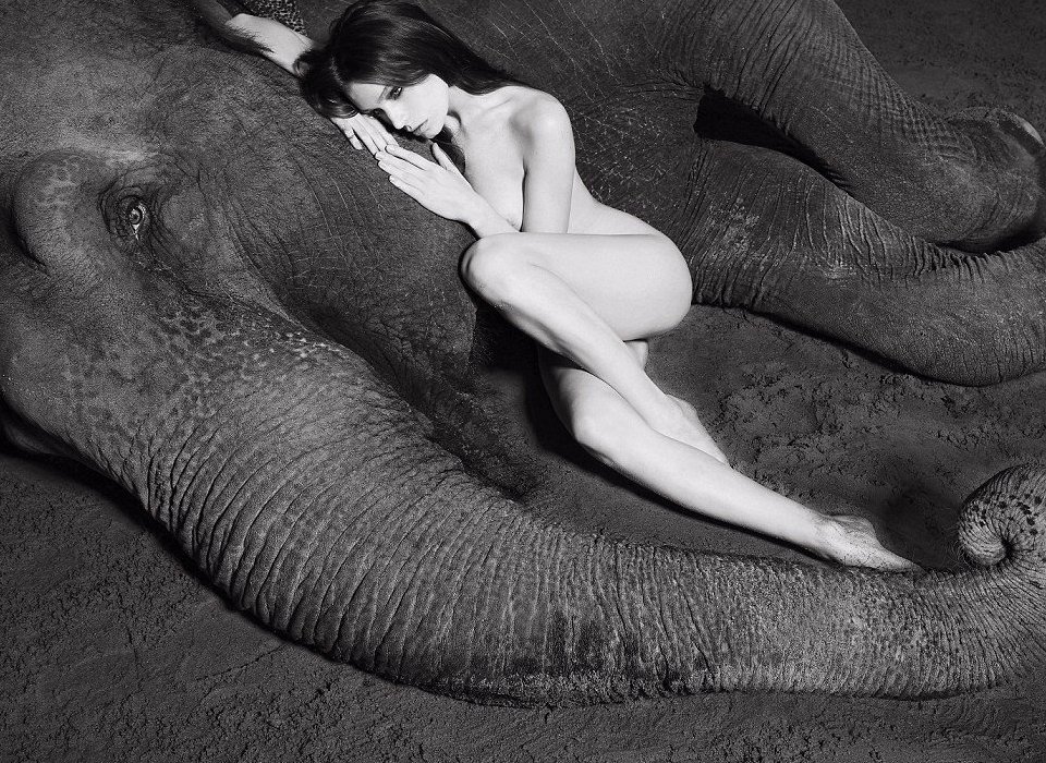 ���������