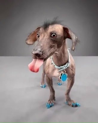 ����������