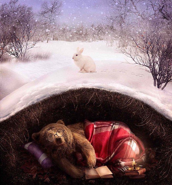 ����������