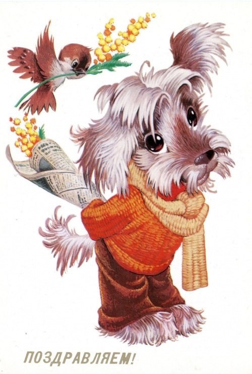 ����������