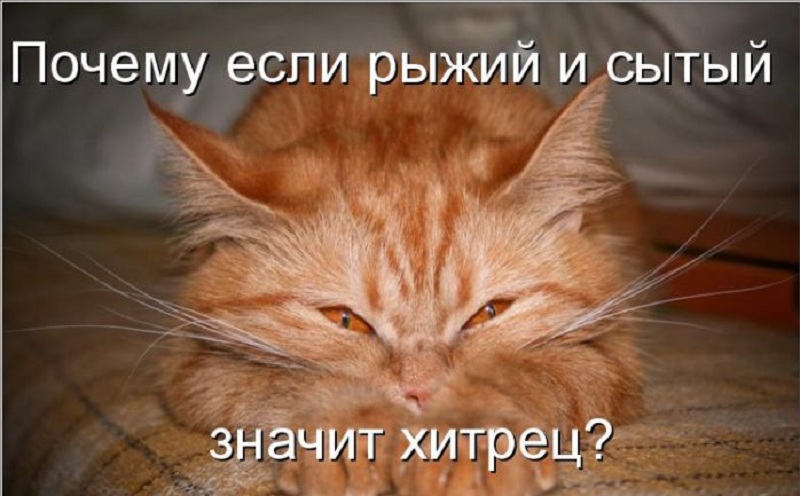 публикация