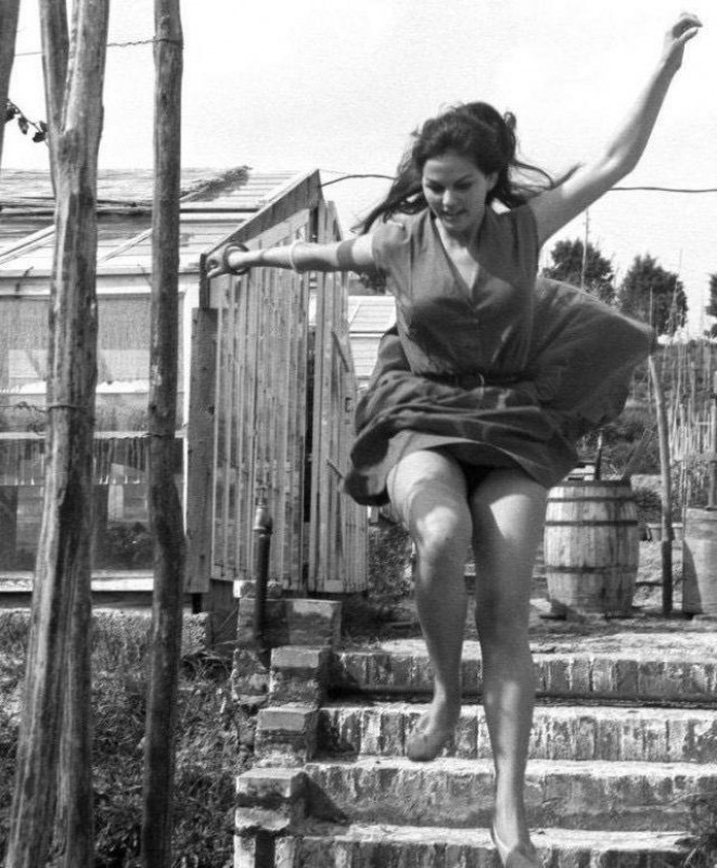 ��������, ����� ���������� � ������ ������