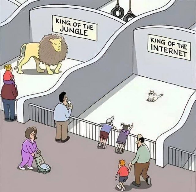 ��������, ����� ���������� � ������ ������