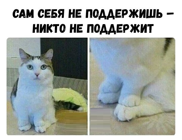публикация