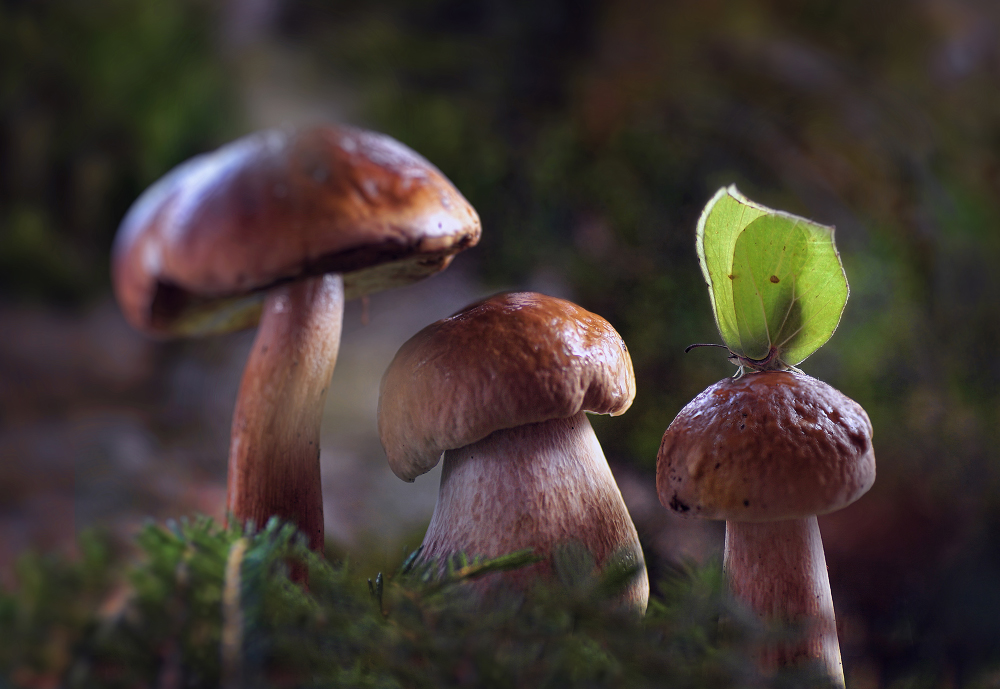 публикация