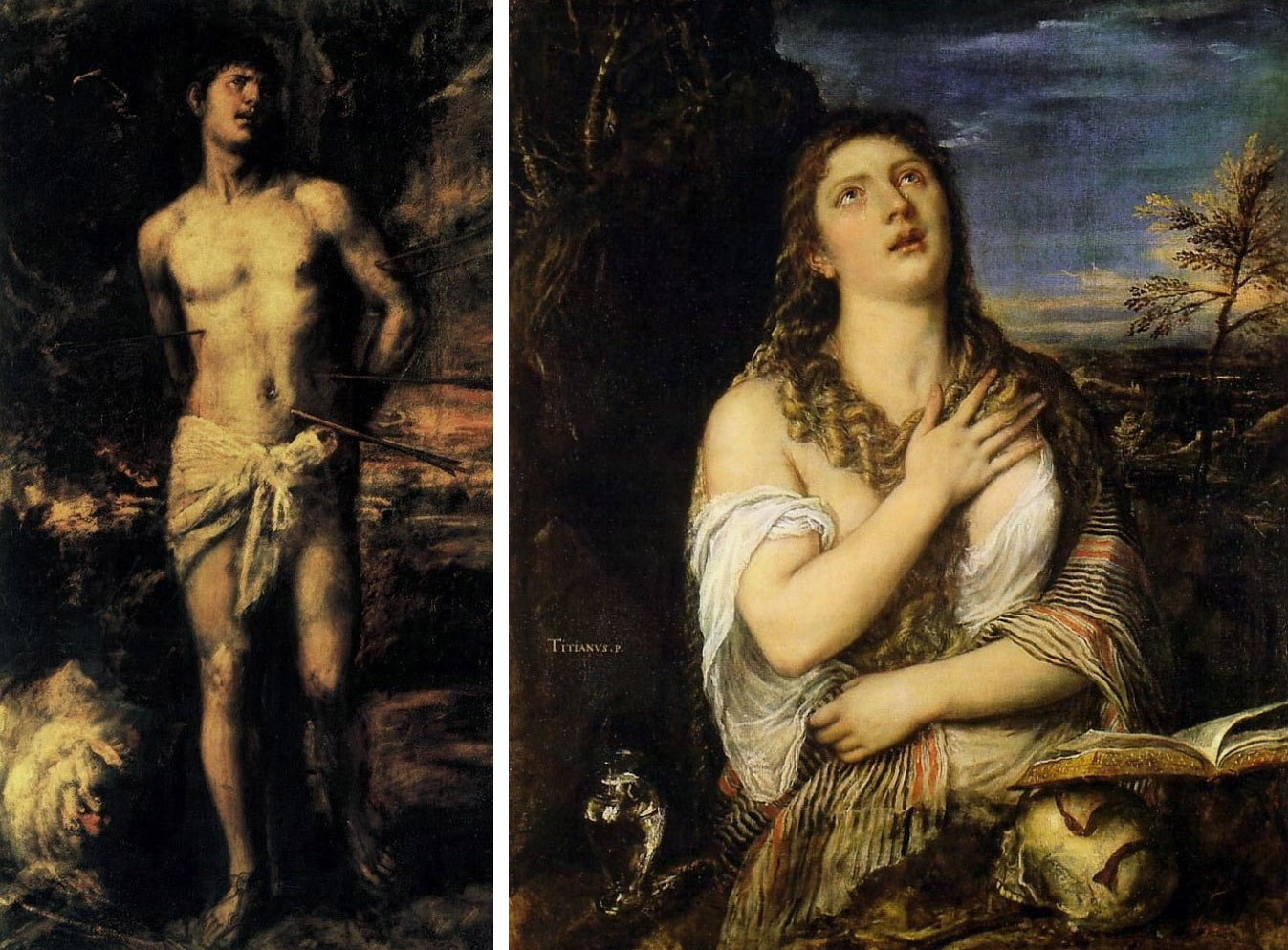 ����������