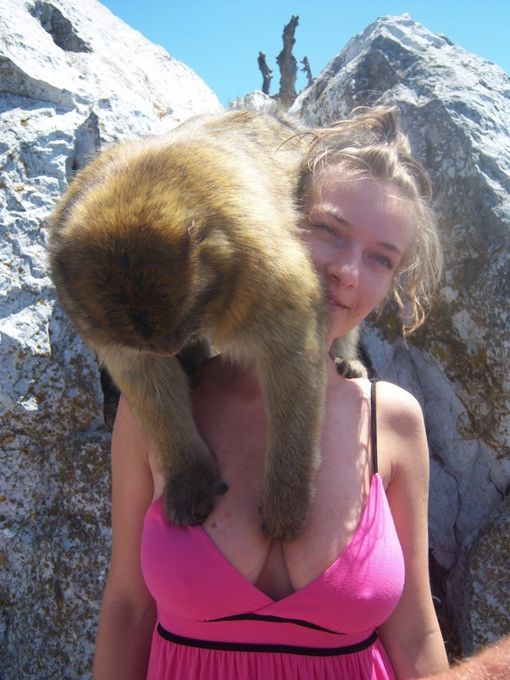 ����������