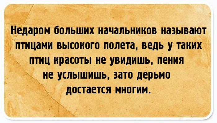 Кликните, чтобы посмотреть в полный размер Кликните, чтобы посмотреть в полный размер