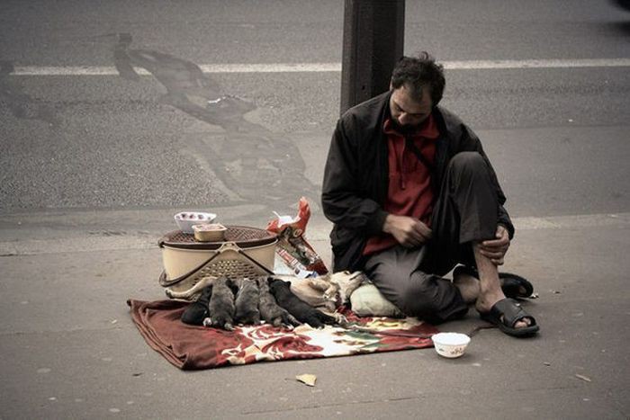 публикация