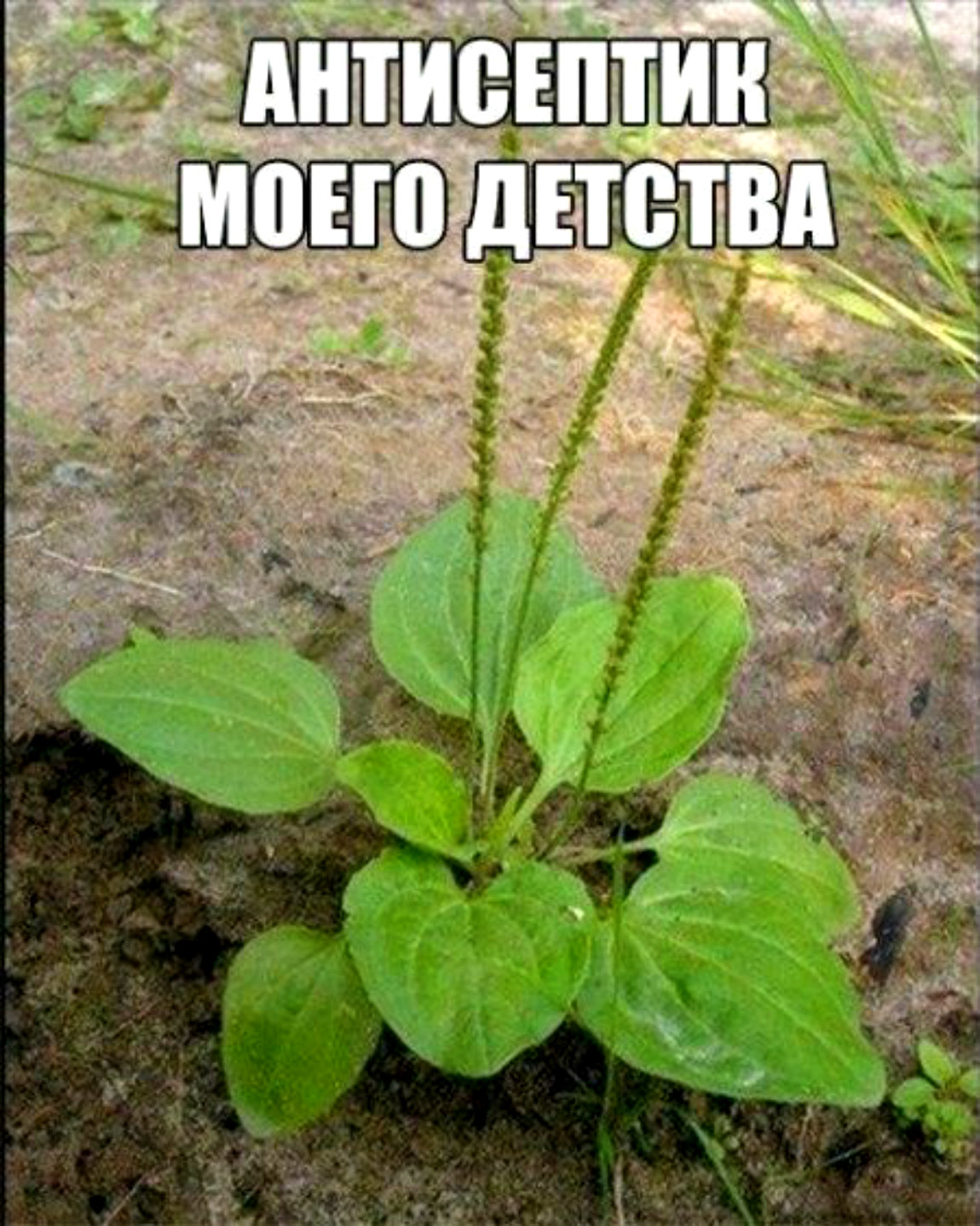 публикация