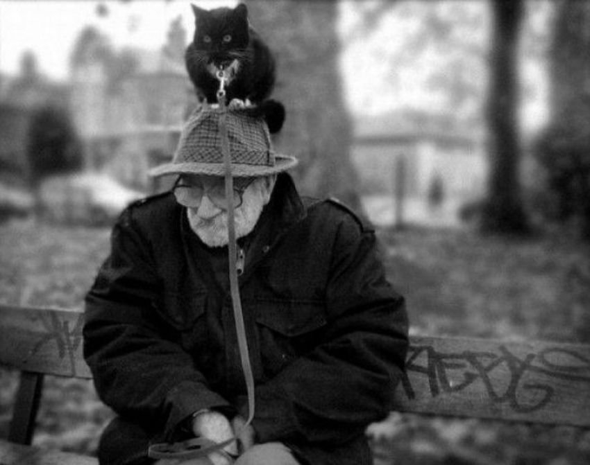 публикация