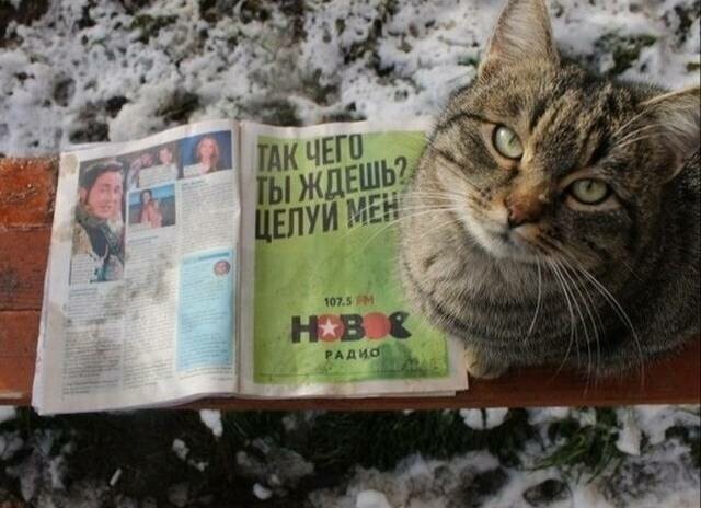 ����������