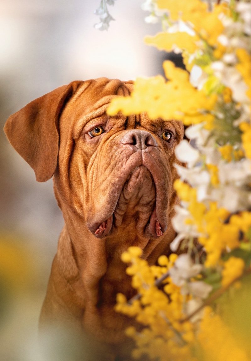 ����������