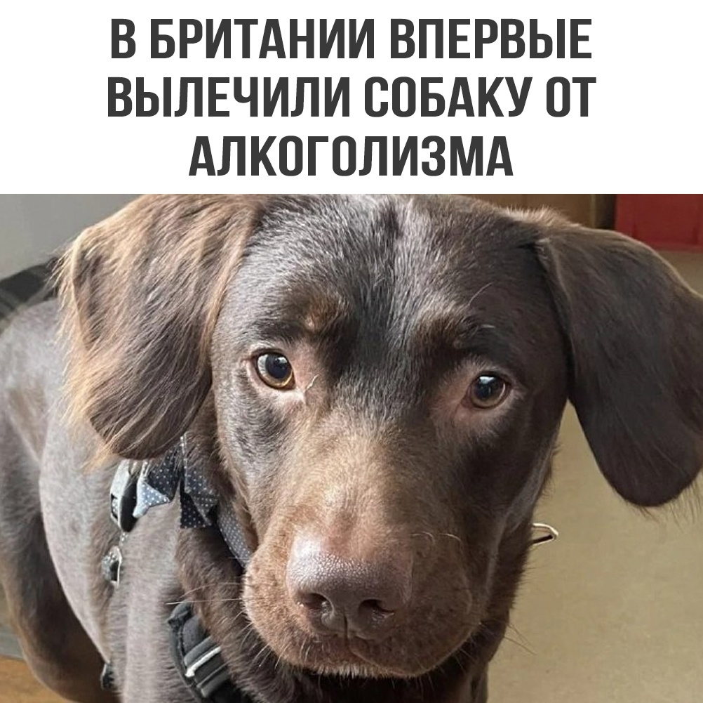 публикация