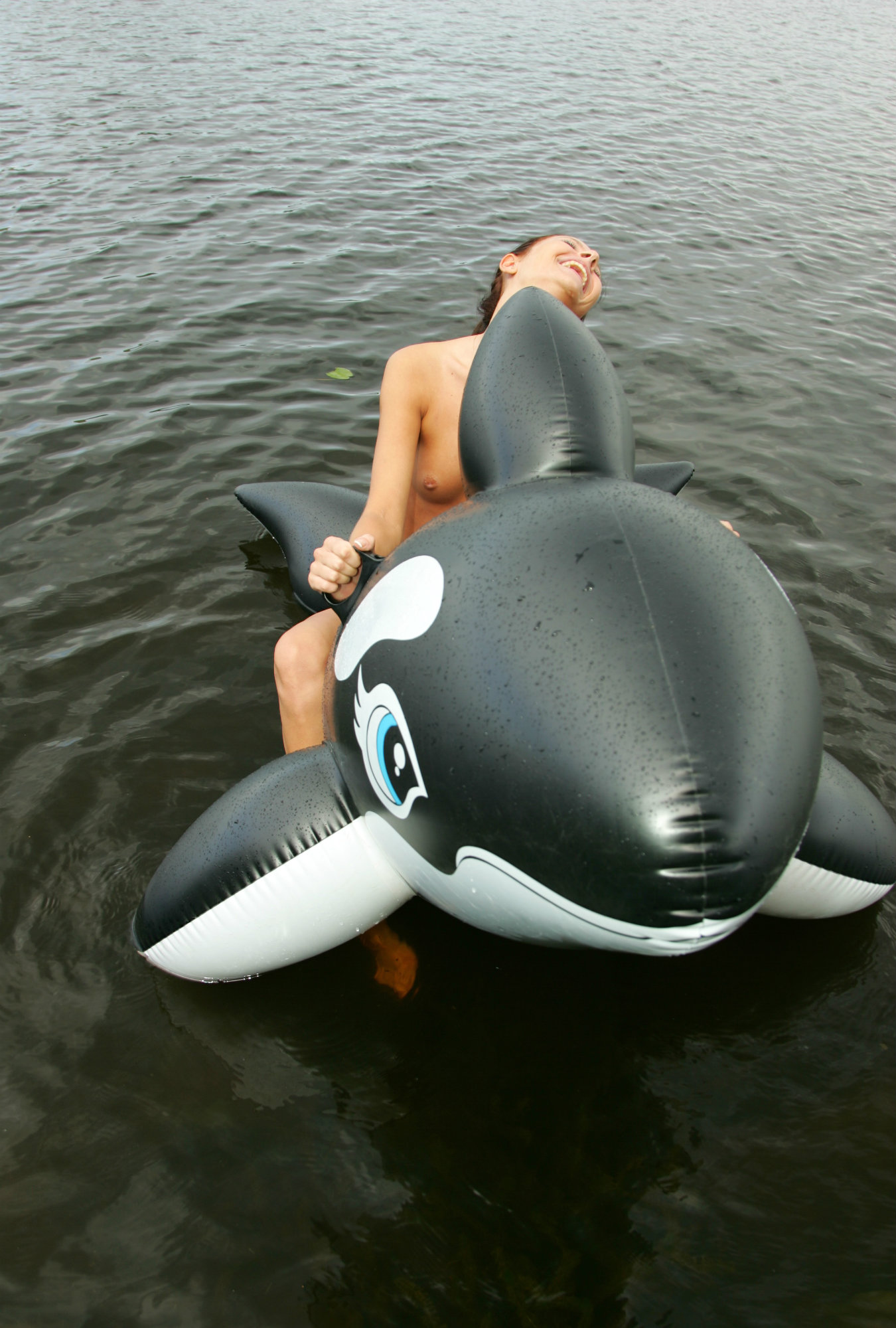 ����������