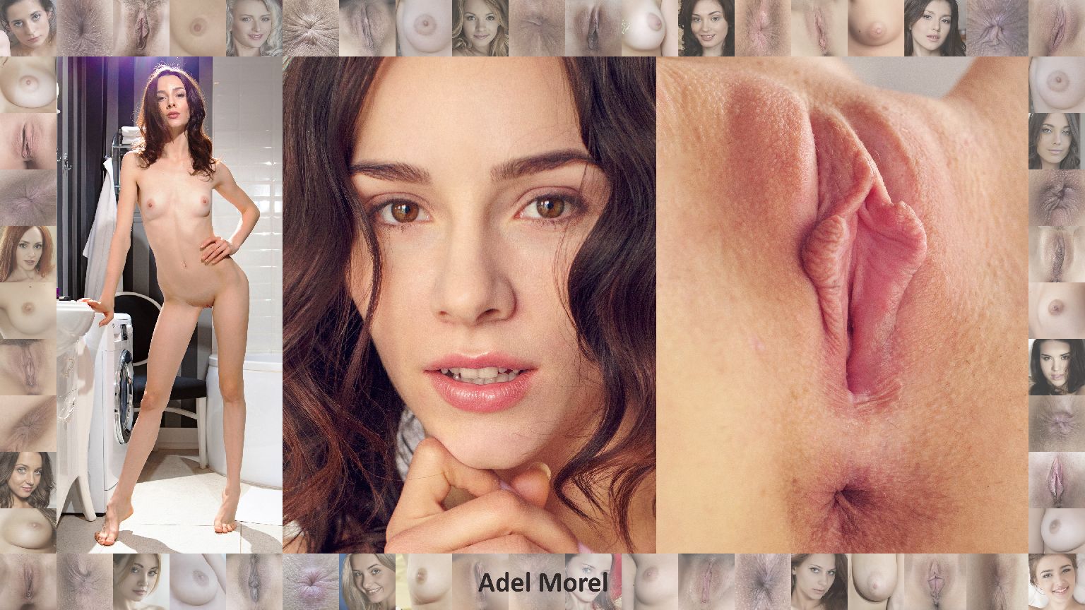 ����������