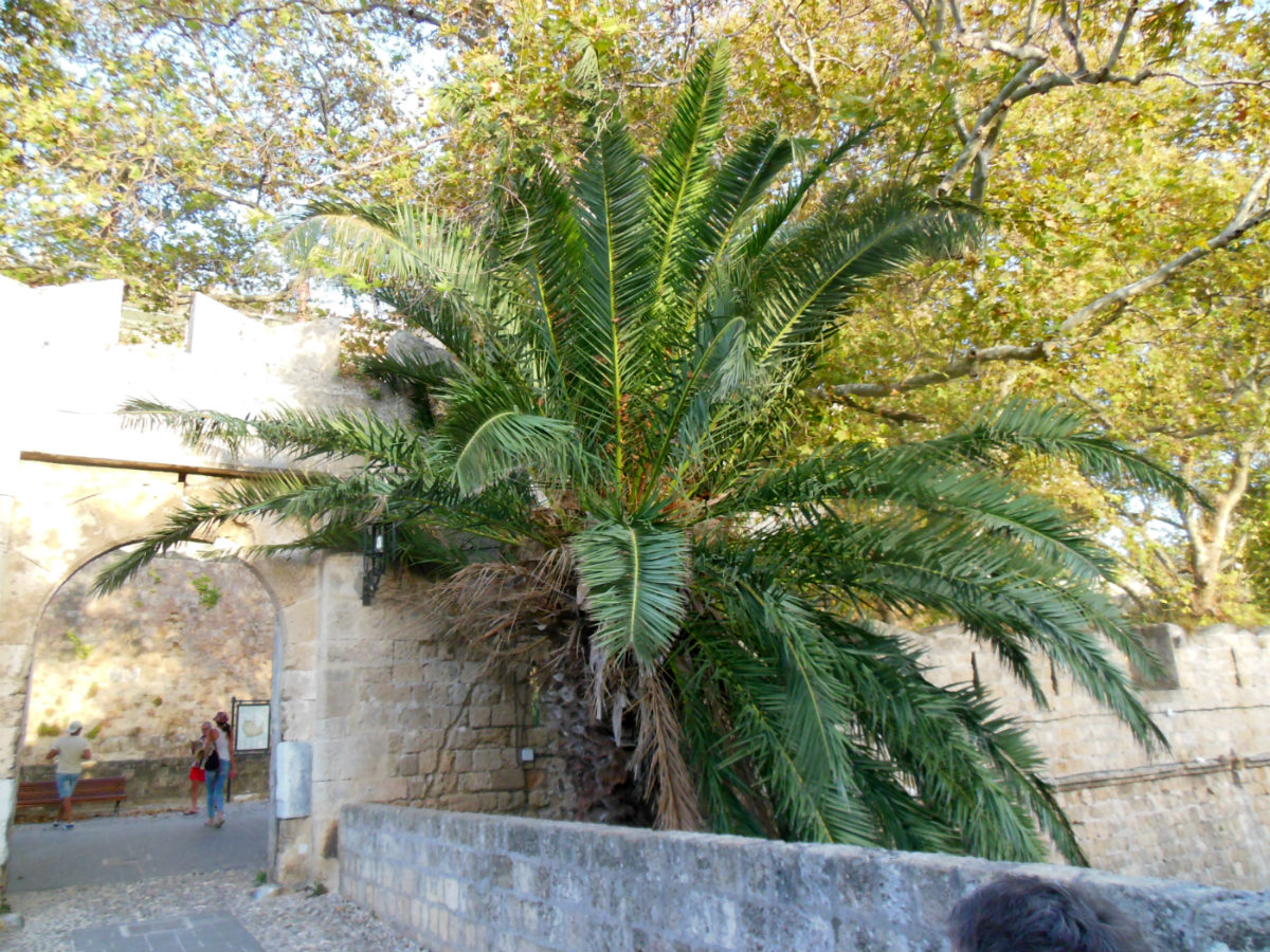 ����������