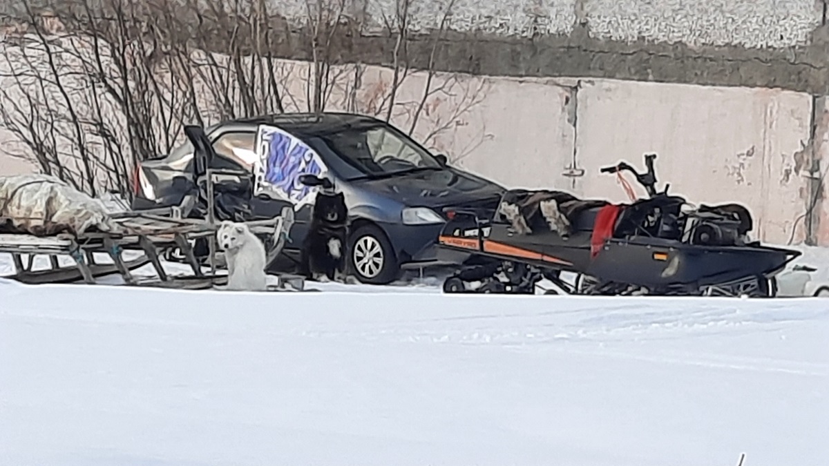 ����������