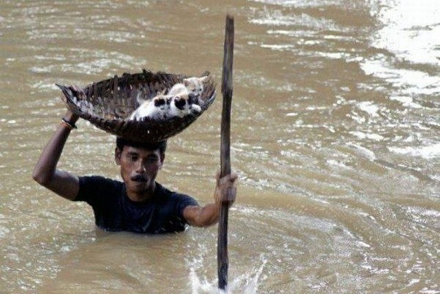 ����������