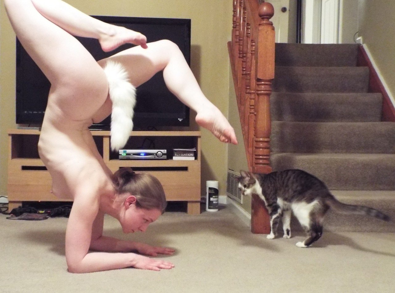 ��������, ����� ���������� � ������ ������