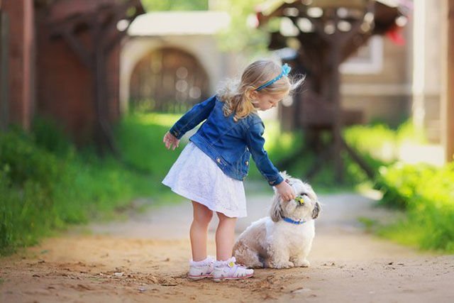 публикация