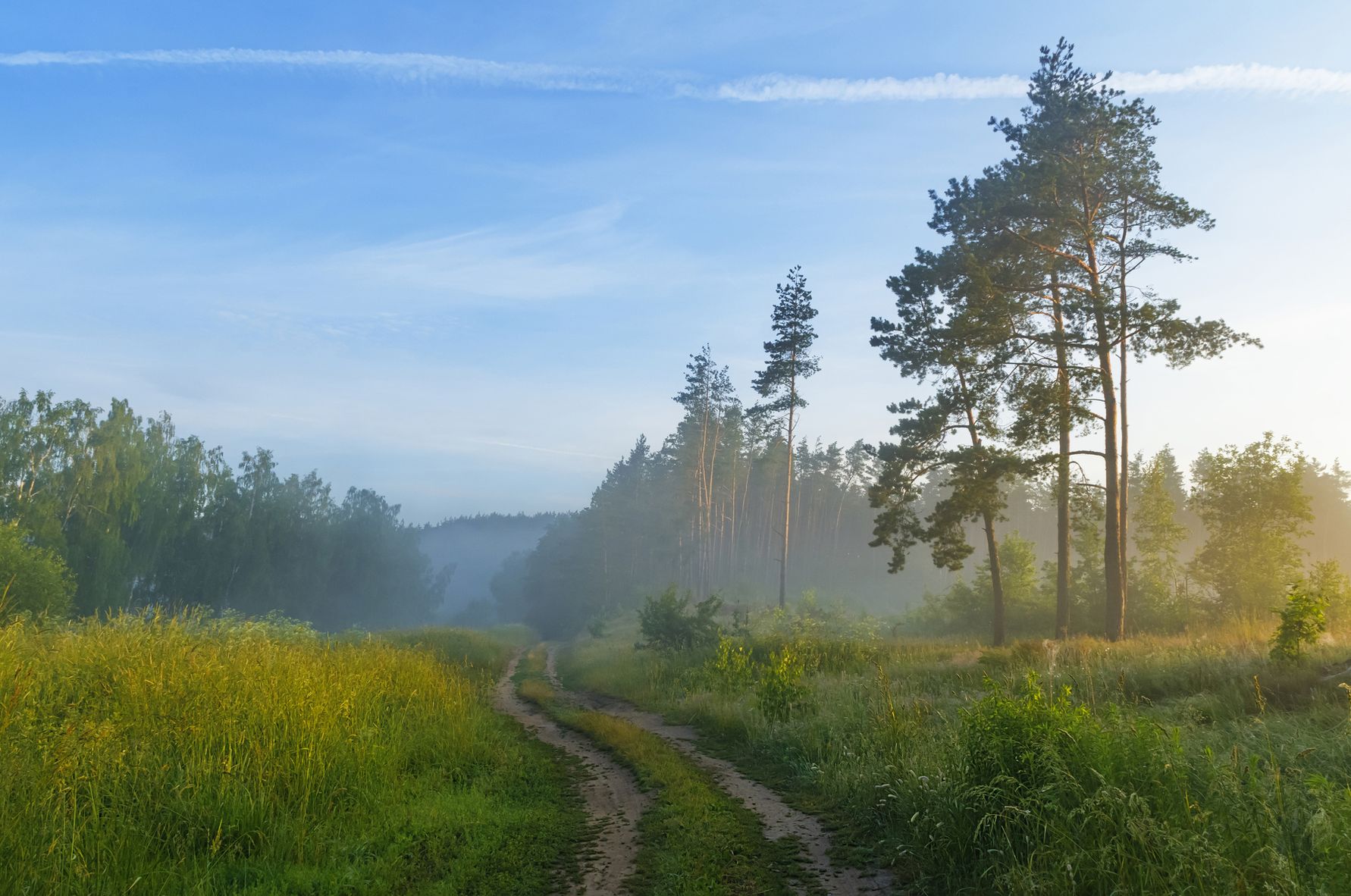 публикация