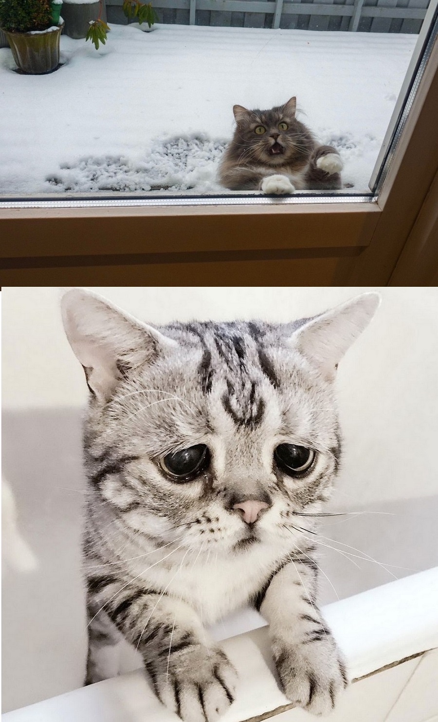 публикация