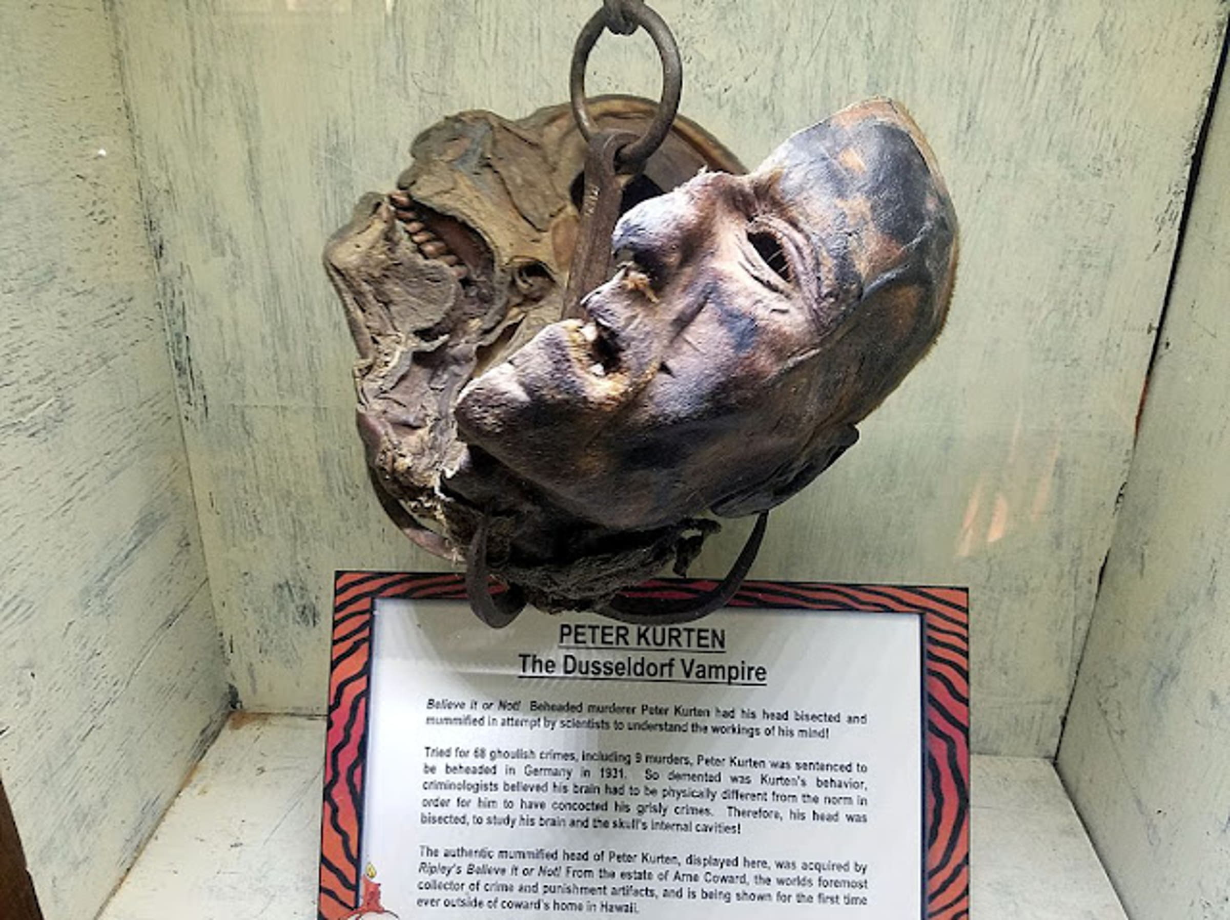 ����������