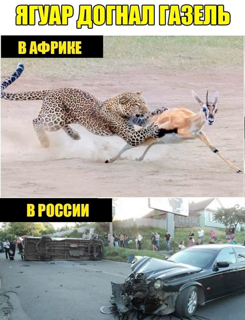 ��������, ����� ���������� � ������ ������