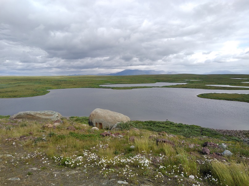 ����������