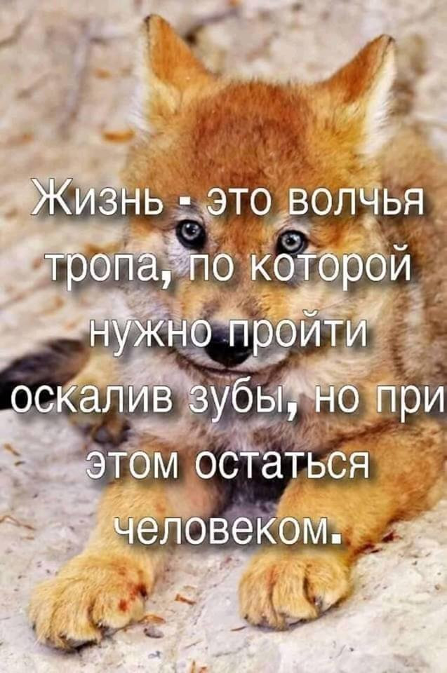 публикация
