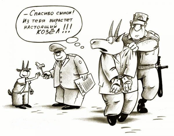 ����������