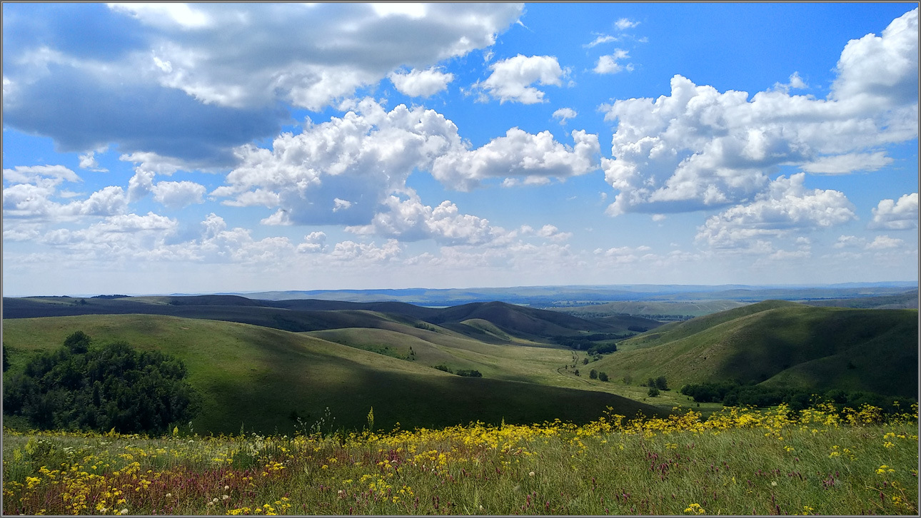 ����������