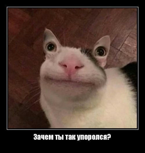 ��������, ����� ���������� � ������ ������