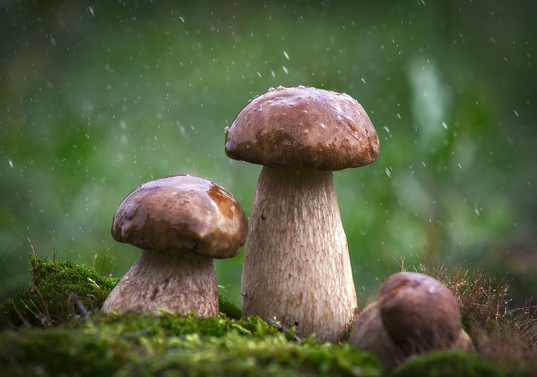 публикация