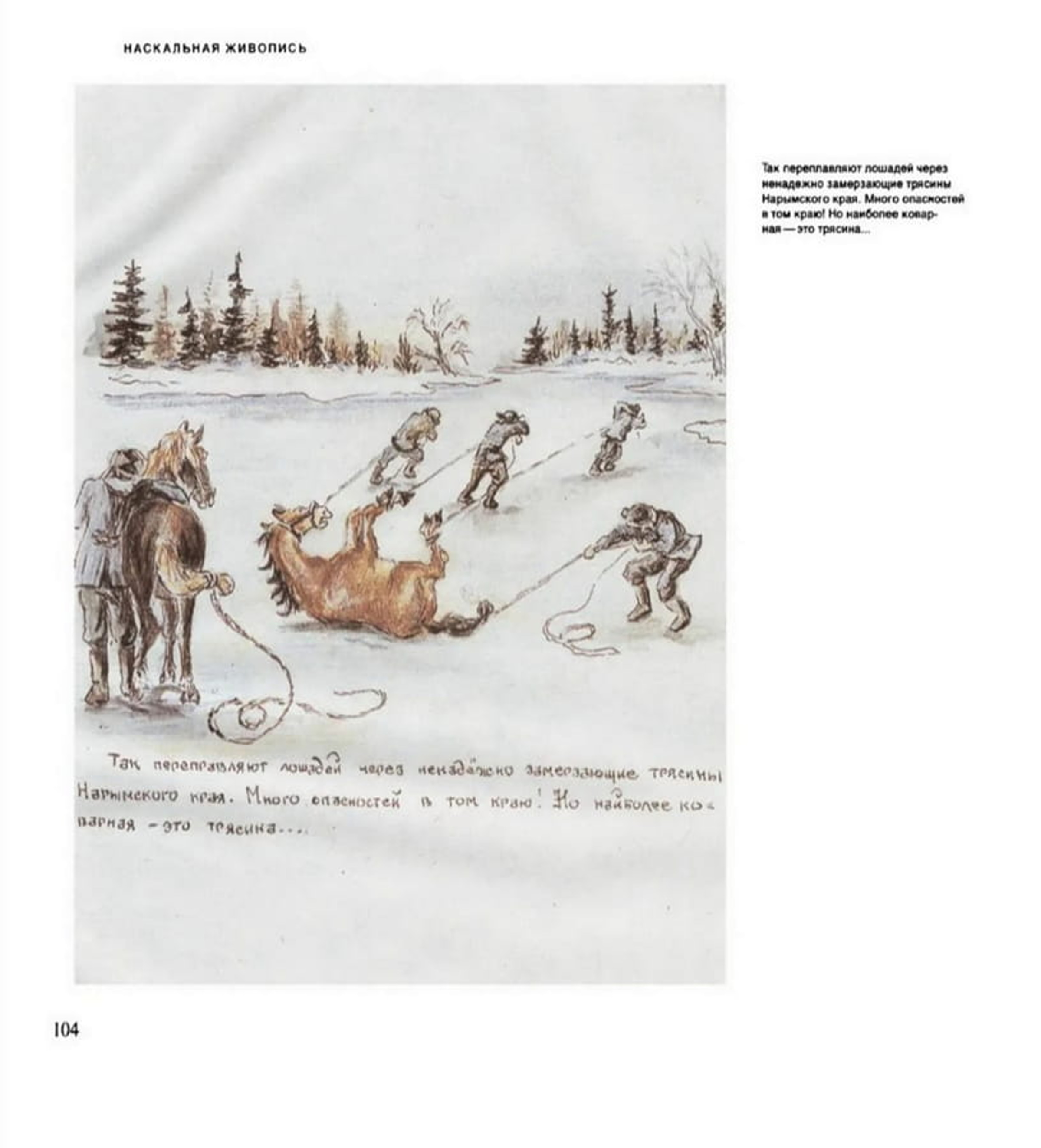 ����������