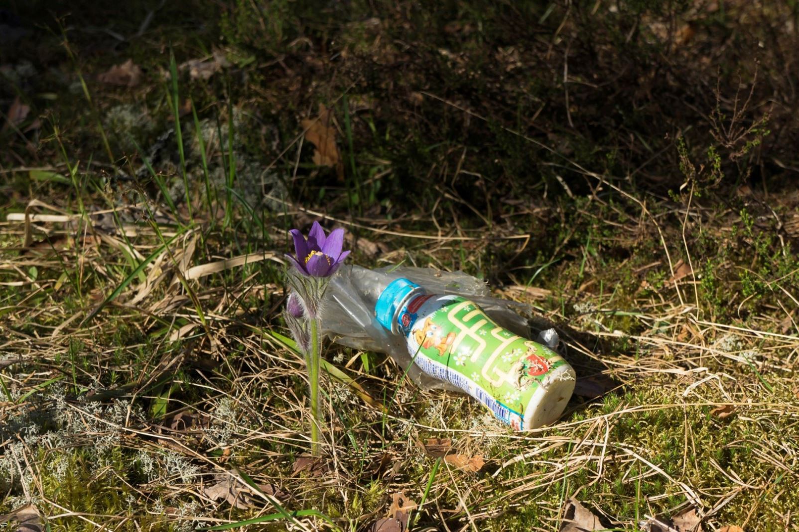 ����������