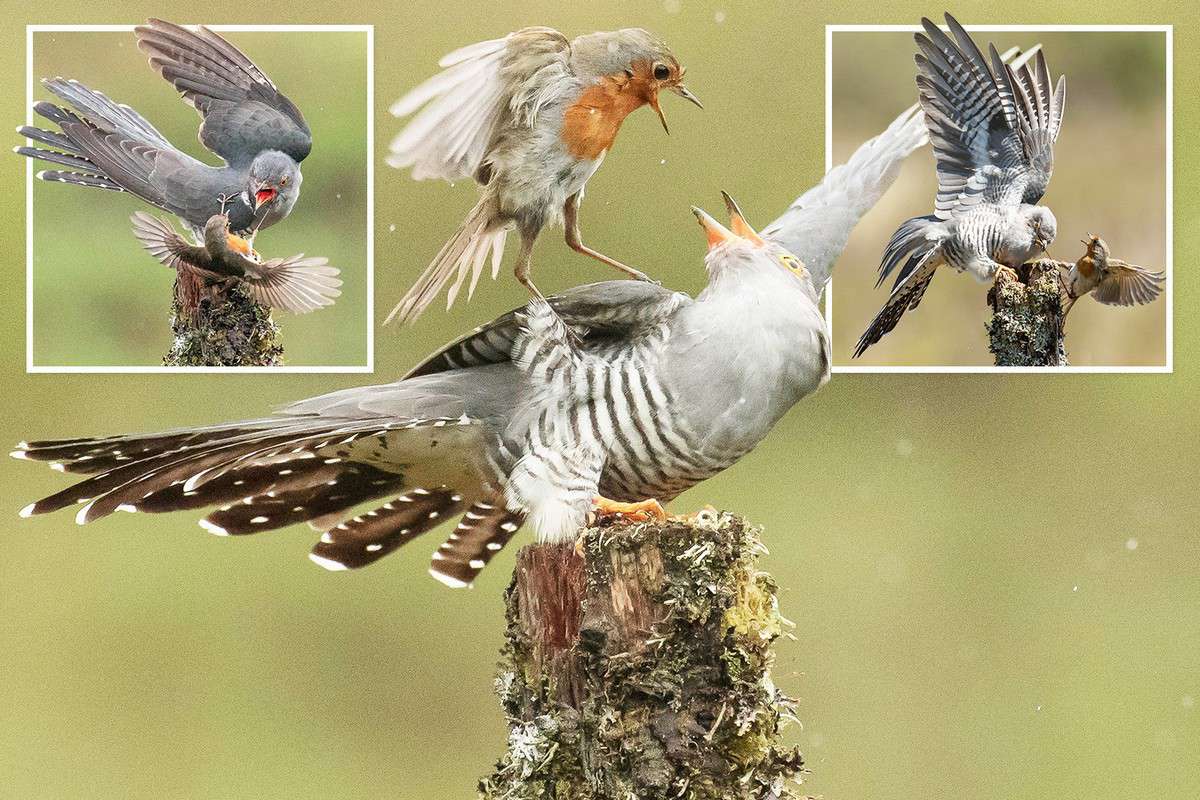 ����������