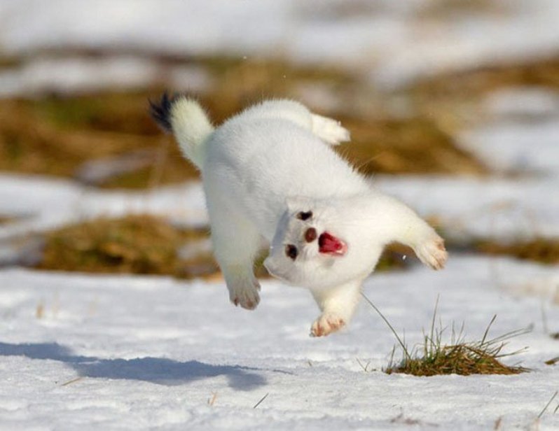 ����������