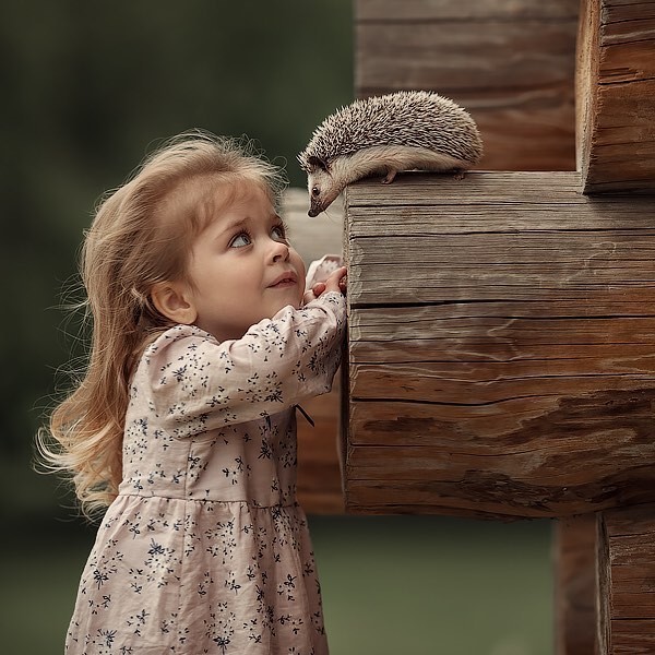 ����������