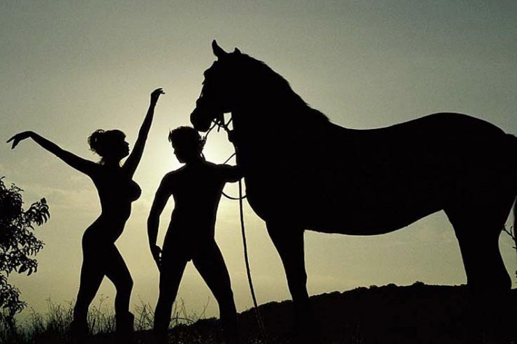 ����������